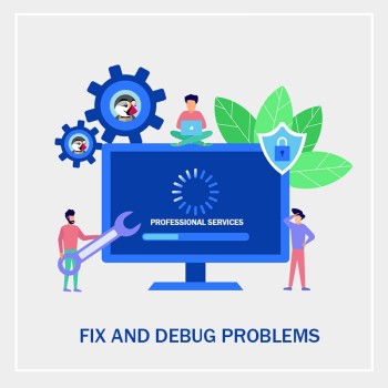 Fix and Debug Problems (Professional Services)
